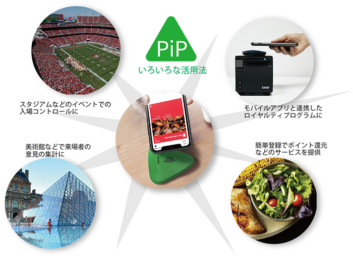 pip cases